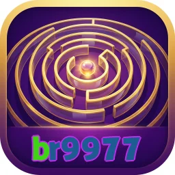br9977